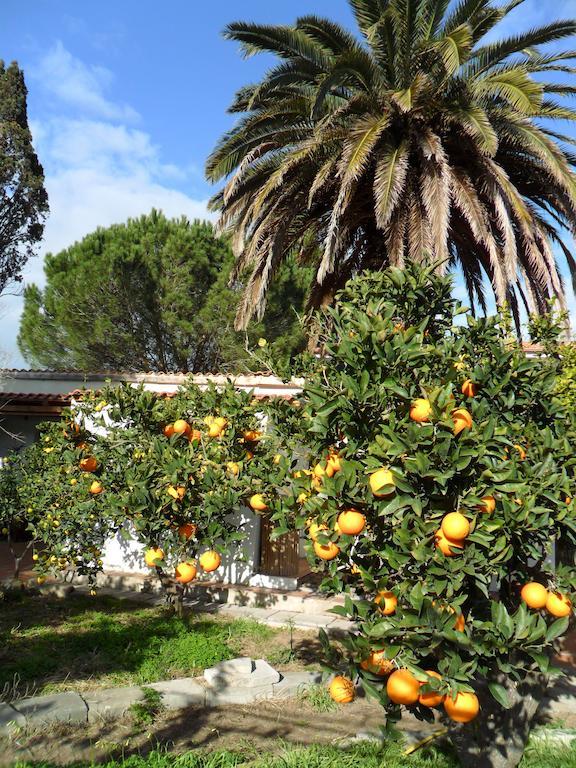 Il Giardino Di Emilio Marrùbiu Quarto foto